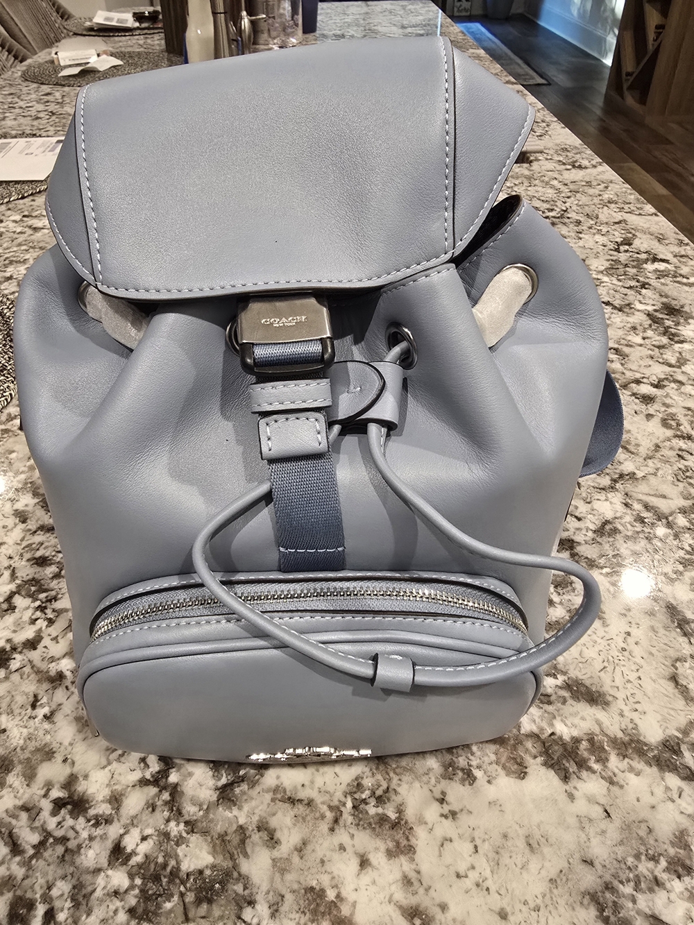 Coach Pace Backpack